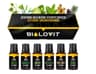 Biolovit - Essential Oils Set Art of Sauna - 6 x 10 ml