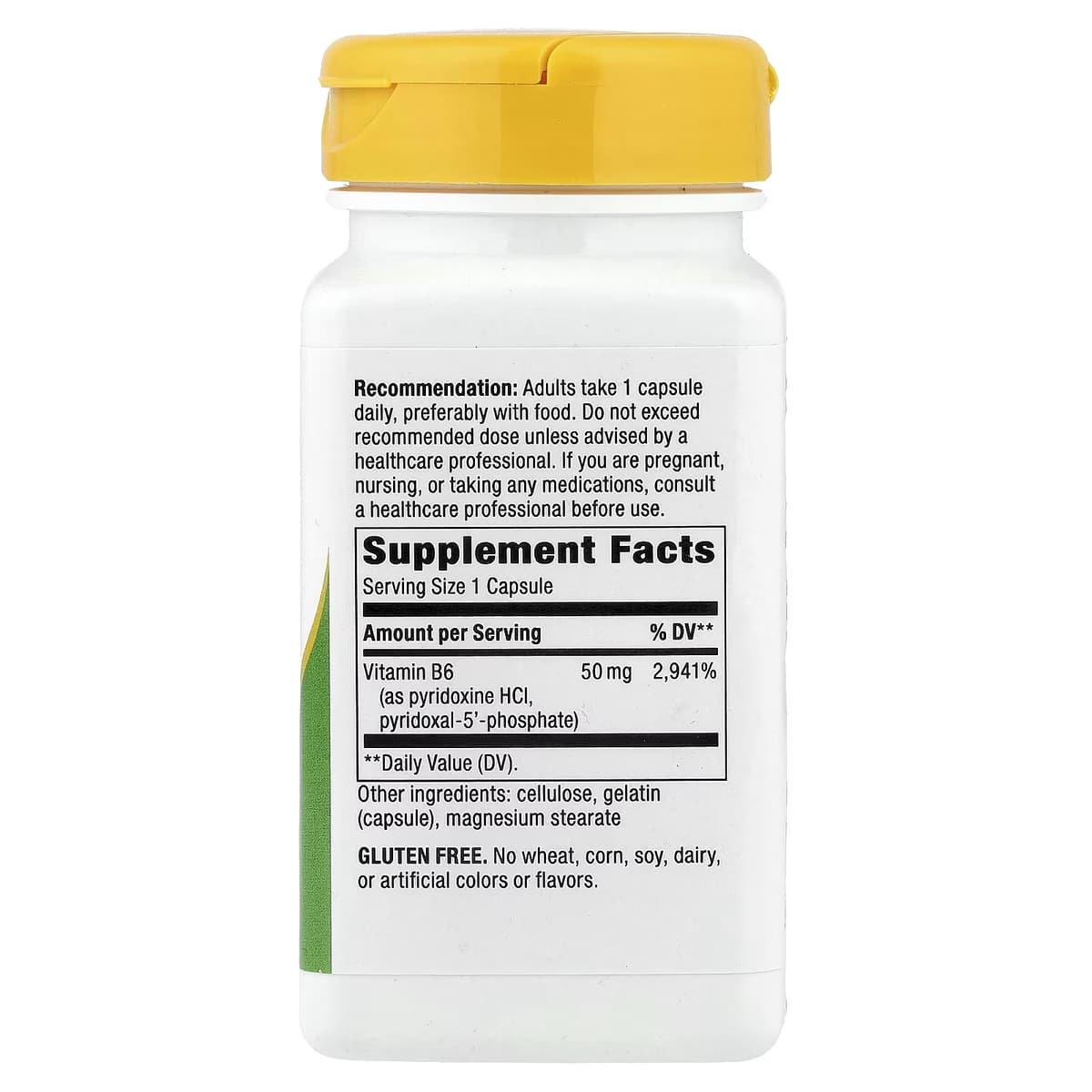 Nature's Way - Vitamin B-6 - 100 Caps