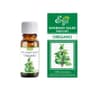Etja - Naturlig Æterisk Olie - Oregano 10ml