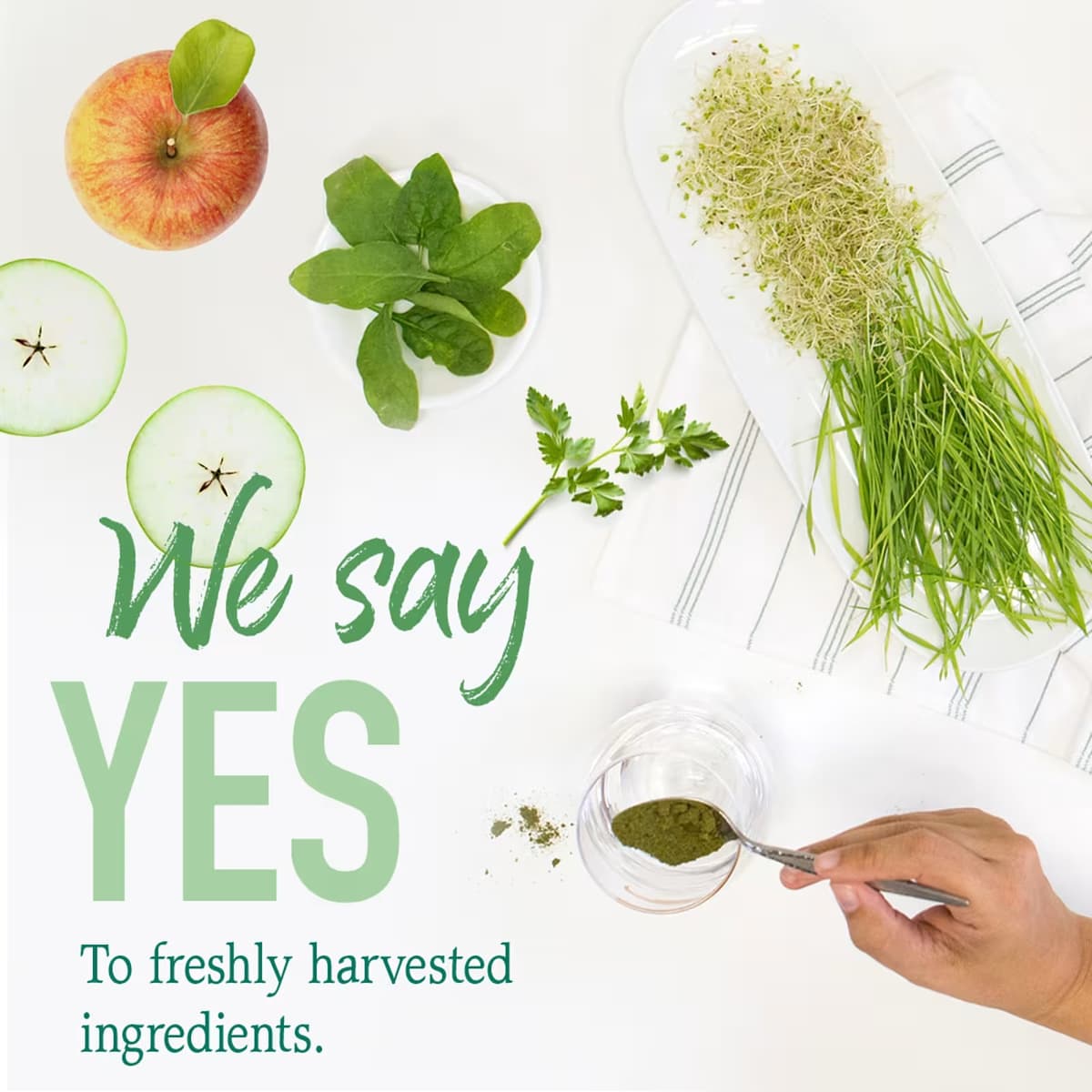 Garden of Life - Raw Organic Perfect Food Green Superfood
