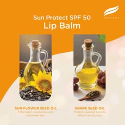 Himalaya - Sun Protect Spf 50 Lip Balm - 4.5g
