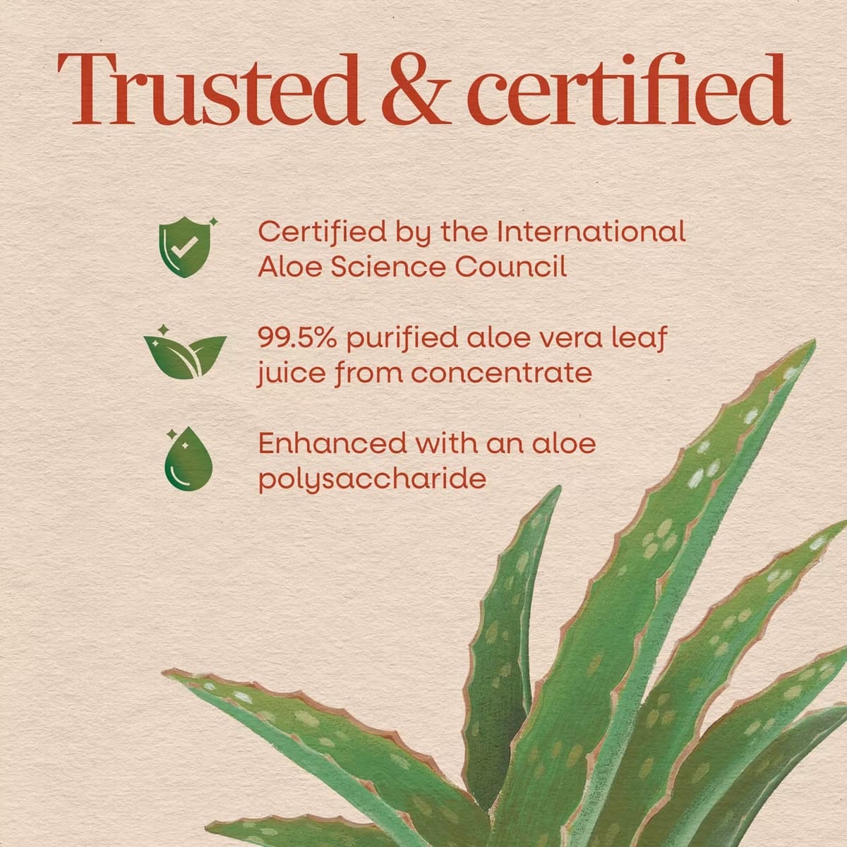 Nature's Way - Aloe Vera Leaf Juice - 1000ml