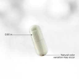 Codeage - Liposomal NAC+ Platinum - 120 Vegetable Capsules