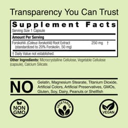 Nature's Answer - Forskohlii Weight Control - 60 Vcaps