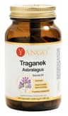 Yango - Astragalus Extract 10:1 - 100 Caps