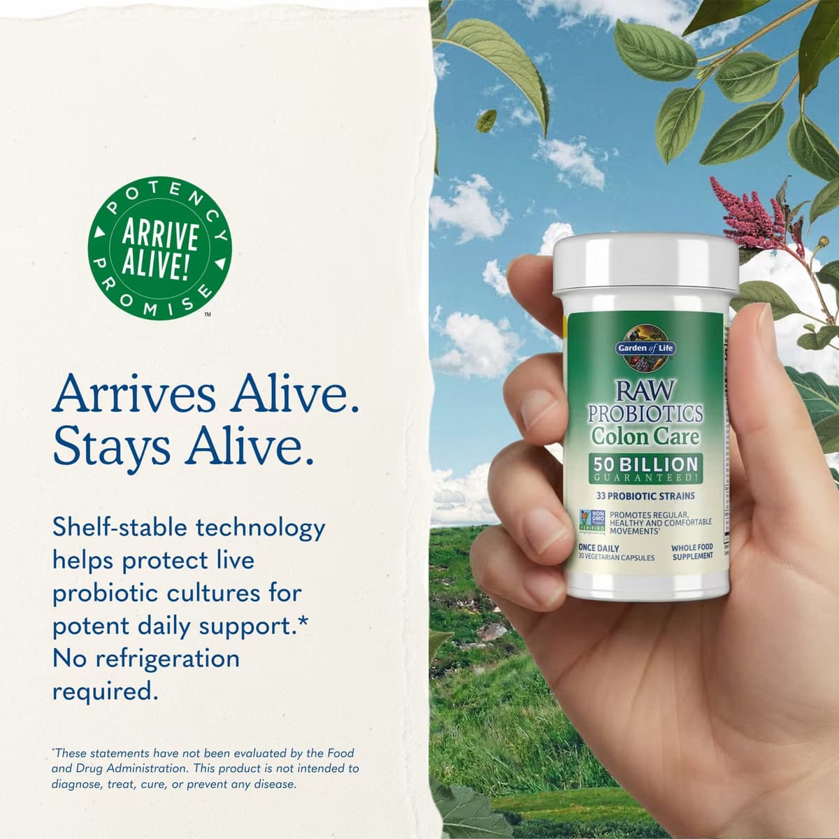 Garden Of Life - Raw Probiotics Colon Care - 30 Caps