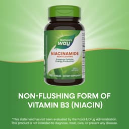 Nature'S Way - Niacinamide - 100 Caps