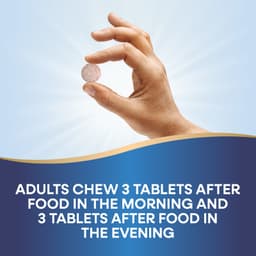 Nature's Way - DGL - 100 Chewable Tablets