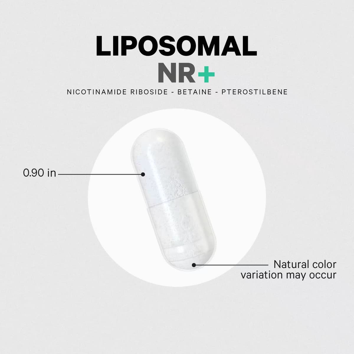 Codeage Liposomaalinen Nikotinamidi Ribosidi - 60 Vcaps - 60 Kasvipohjaista Kapselia