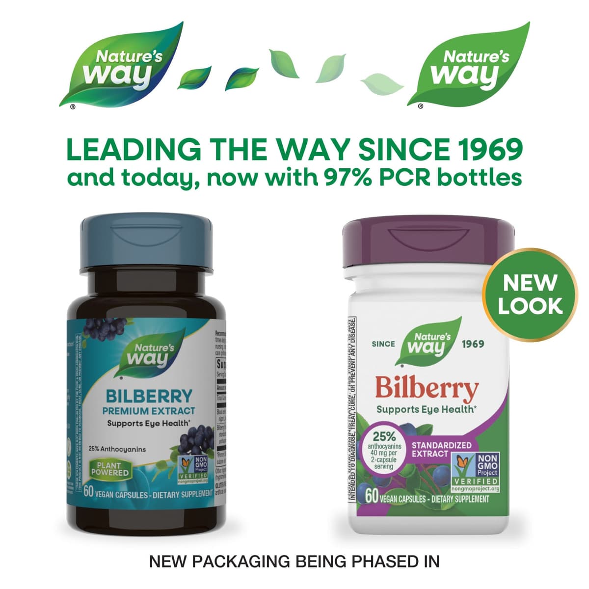 Nature'S Way - Bilberry Premium Extract - 60 Caps