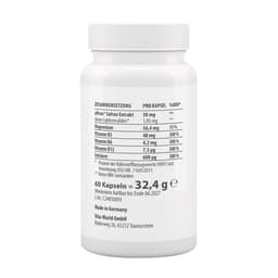 Vitaworld - Saffron Extract - 60 Kapseln (60 Caps)