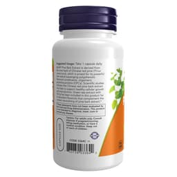 NOW Foods - Pine Bark Extract - 240mg - 90 Vcaps