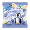 BONITAS - Smoothie Bites - 10g