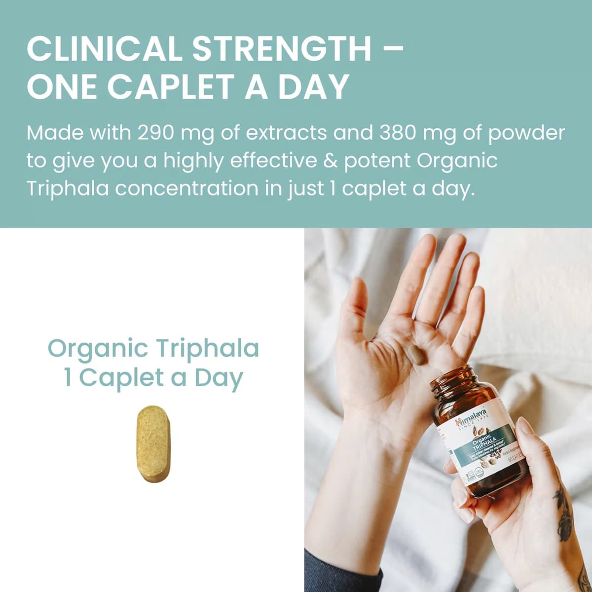 Himalaya - Organic Triphala - 60 Caps