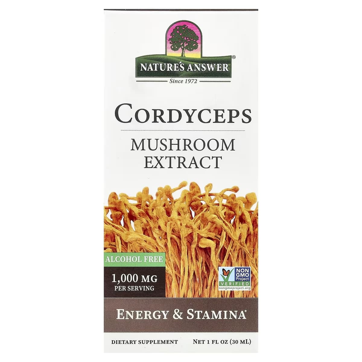 Nature'S Answer - Cordyceps-sienetinktuote - 1 fl oz