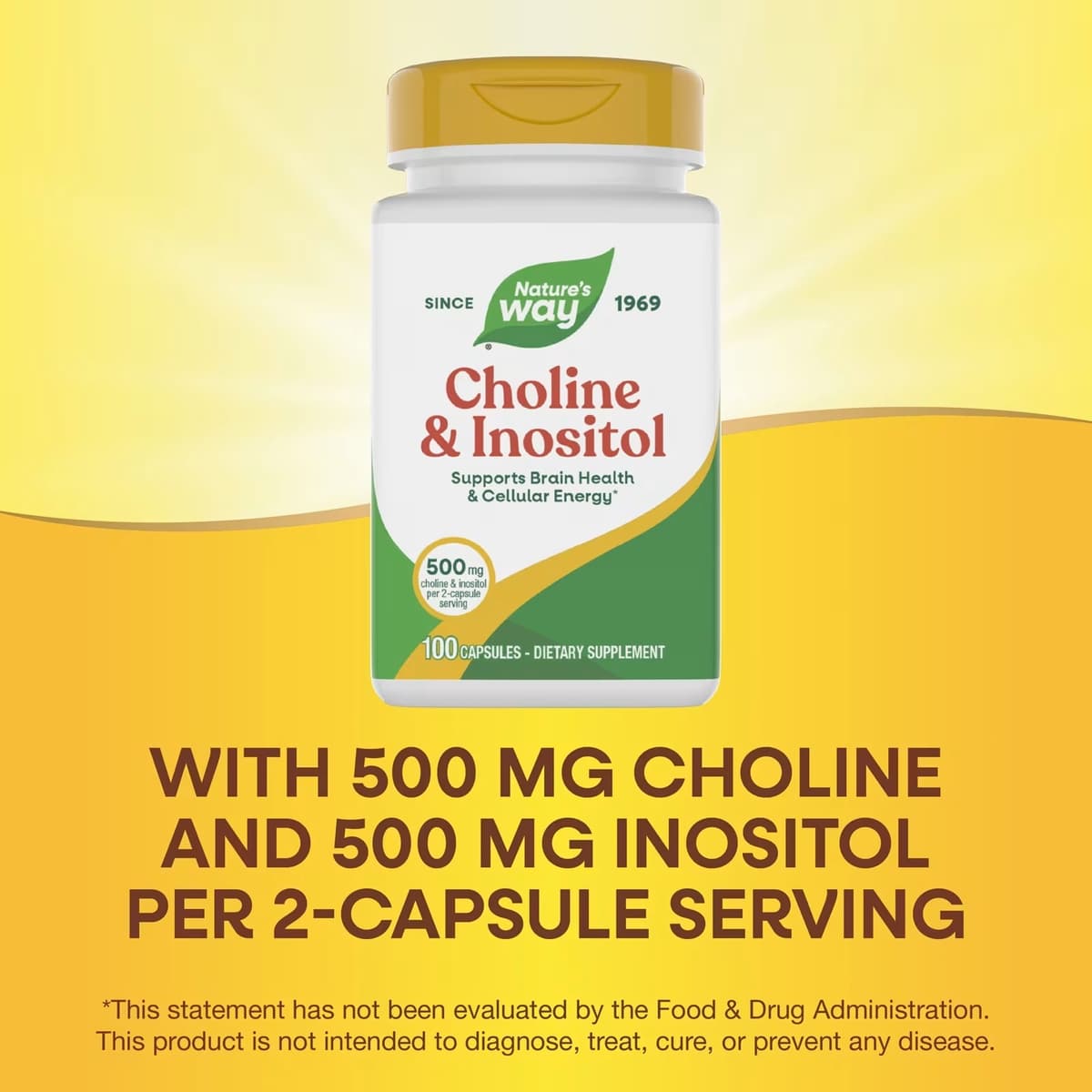 Nature'S Way - Cholin & Inositol - 100 Kapsler