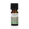 Tisserand Aromatherapy - Gulerodsfrø Eterisk Olie 9ml