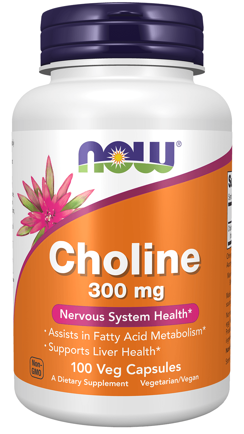 NOW Foods - Choline - 100 Vcaps