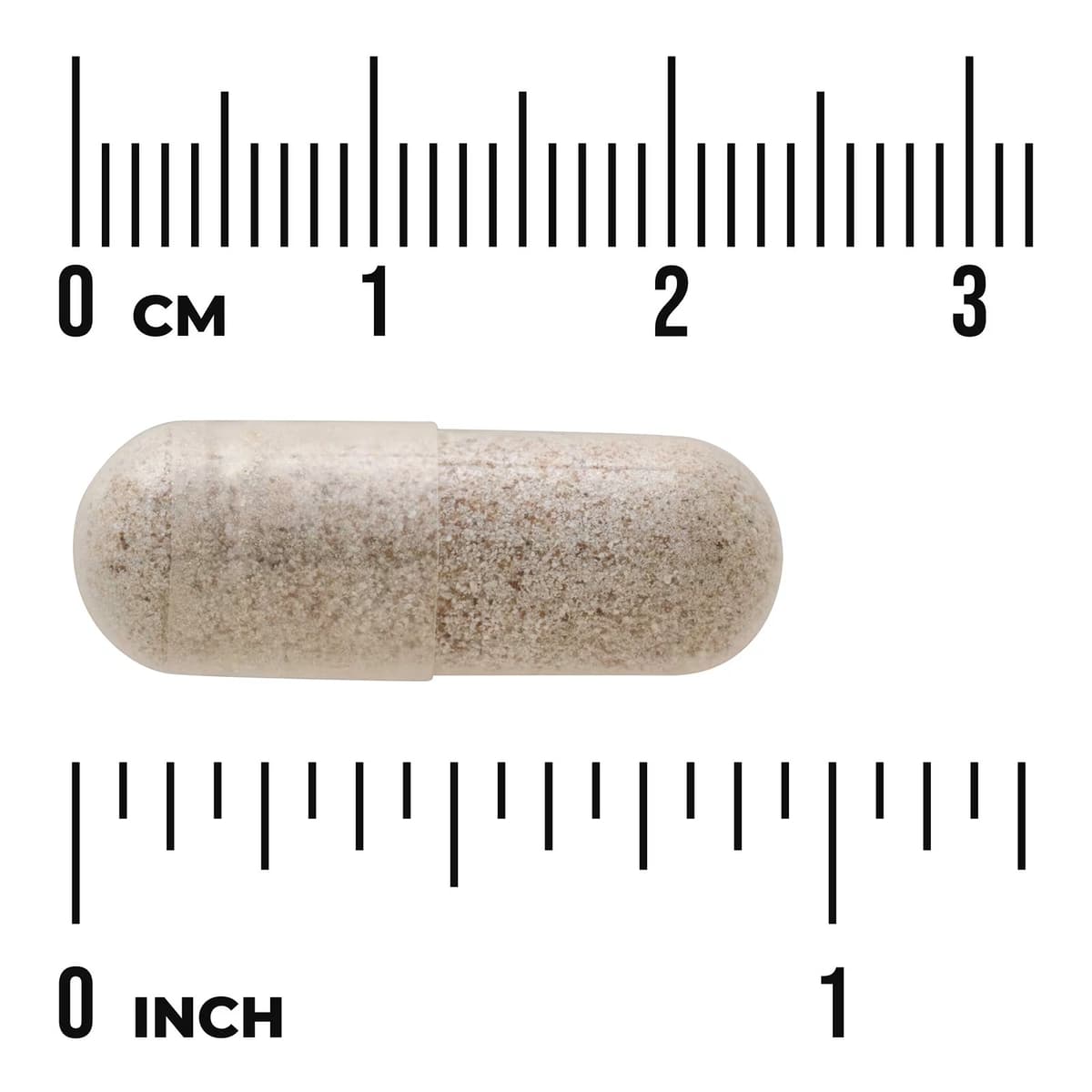 Swanson - Sea Cucumber - 100 Caps