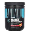 Universal Nutrition - Juiced Aminos - Aminosyrekombination