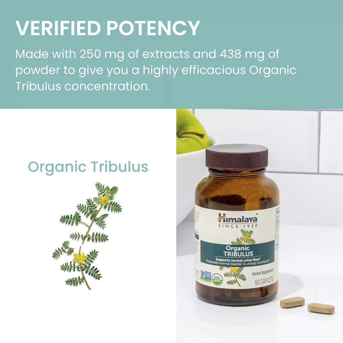 Himalaya - Organic Tribulus Men Libido Support - 60 Caplets