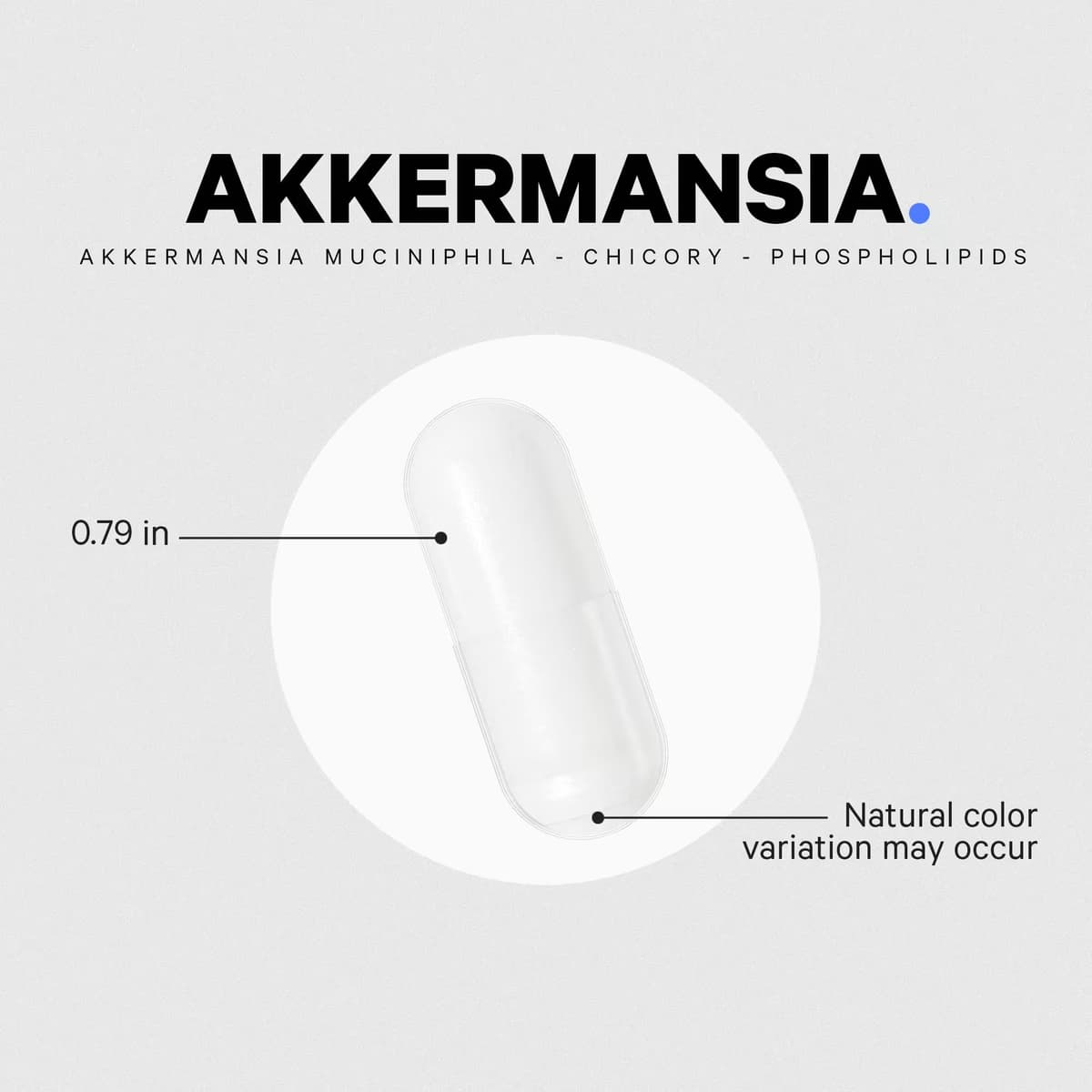 Codeage Akkermansia - 90 Vcaps - 90 Vegetable Caps