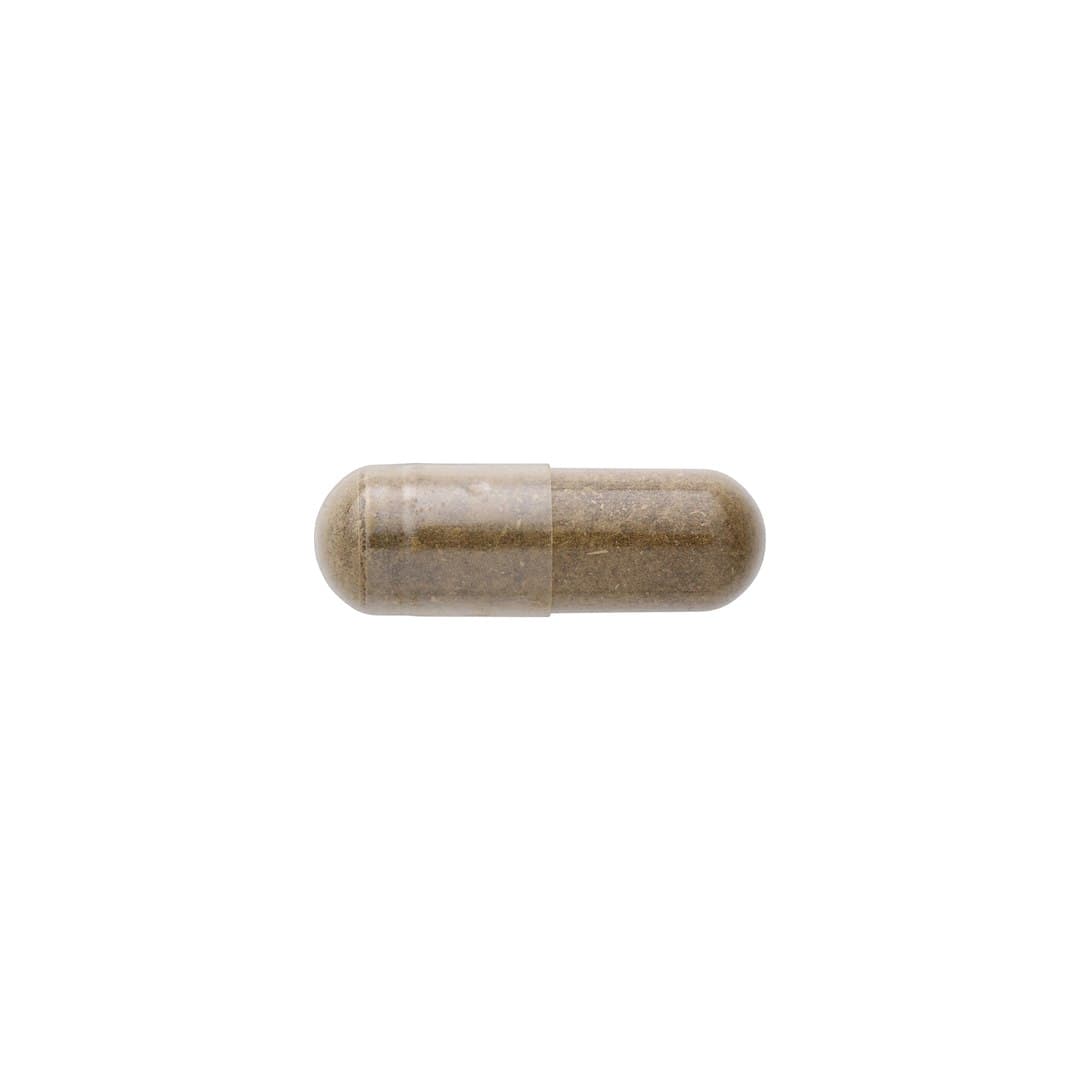 Swanson - Full Spectrum Damiana - 100 Caps