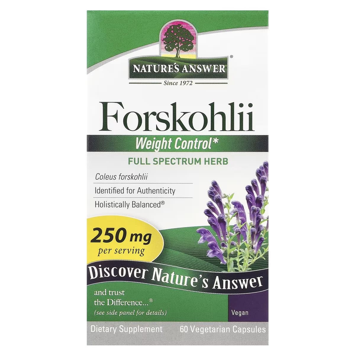 Nature's Answer - Forskohlii Painonhallinta - 60 Vcaps