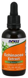 NOW Foods - Echinacea Extract - 59ml