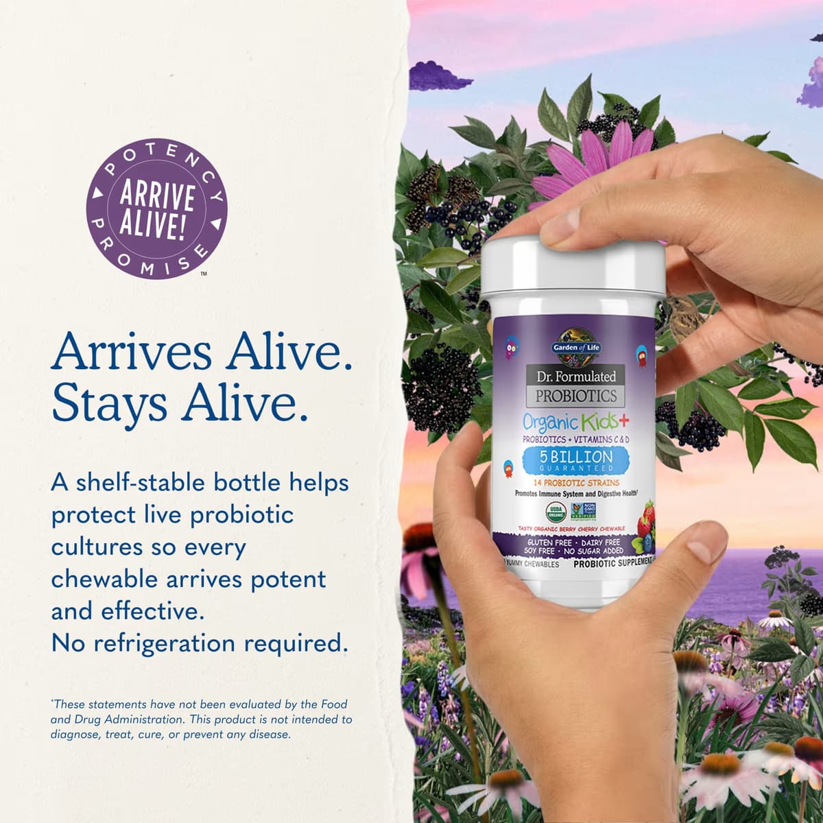 Garden Of Life - Probioositit Lapset+ Marja Kirsikka - 30 Pureskeltavaa