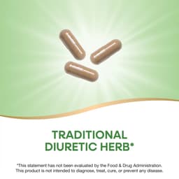 Nature'S Way - Dandelion Root - 100 Vcaps