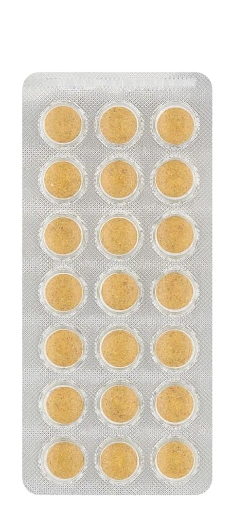 Salus - Floradix - 84 Tabs