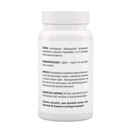 Vitaworld - Brown Algae Extract - 120 Caps