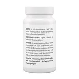 Vitaworld - Choline + Myo-Inositol - 60 Caps