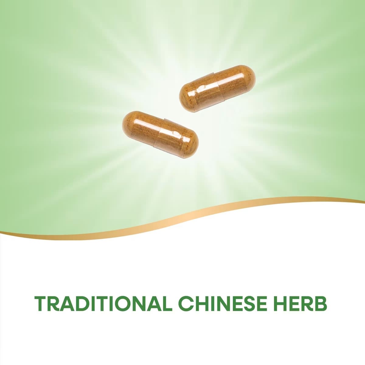Nature'S Way - Fo-Ti Root - 100 Vcaps
