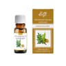 Etja - Essential Oil Natural - Frankincense 10ml