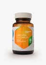 Hepatica - Curcumin C3 Complex - 90 Caps
