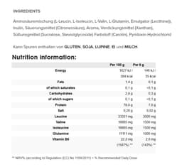 IronMaxx - 100% Bcaas + Glutamin Zero - 500g
