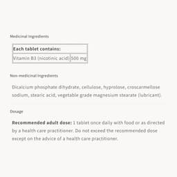 Natural Factors Niacin 500mg - 90 Tabs