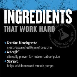Universal Nutrition - Creatine Performance Gummies - 4 Tabs