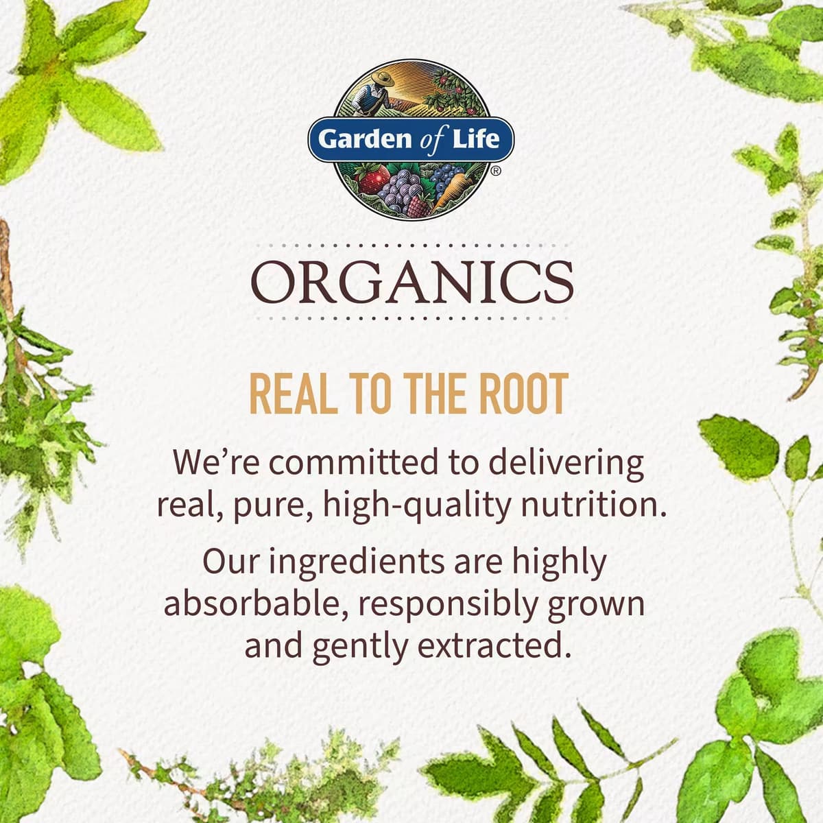 Garden of Life - Mustikkaimarja Immune Gummy