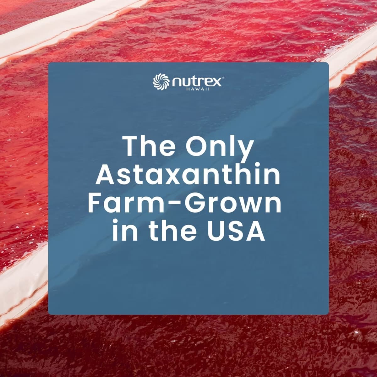 Cyanotech Co - Hawaiian Astaxanthin Supreme - 60 Vegan Sgels