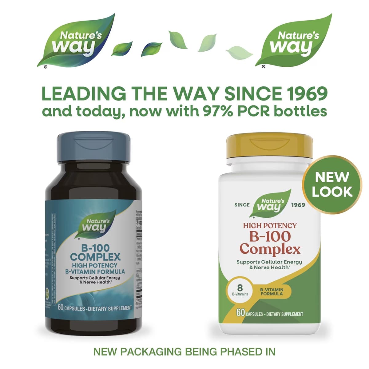 Nature'S Way - Vitamin B-100 Complex - 60 Caps