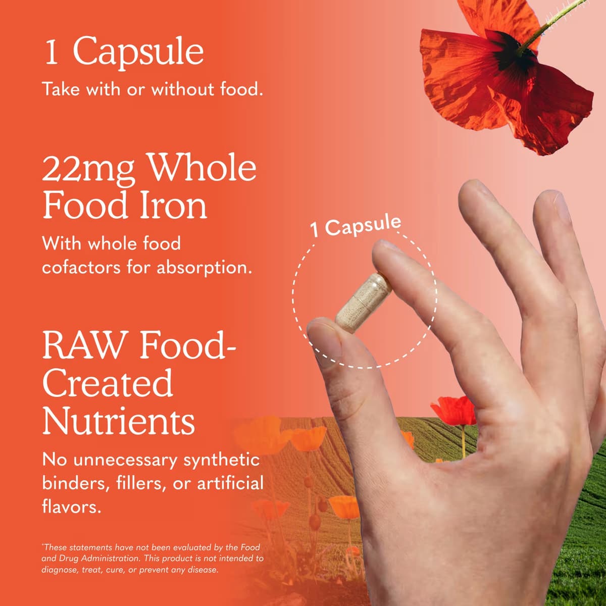 Garden Of Life - Vitamin Code Raw Iron - 30 Kapsler