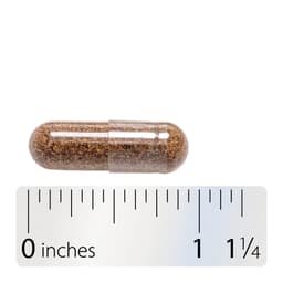 Nature'S Way - Saw Palmetto Berries - 100 Caps