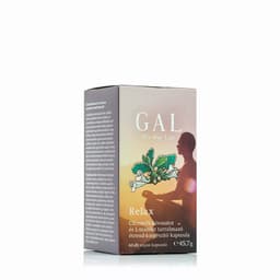 GAL - Lemon Balm Extract & L-Theanine Caps - 60 vegan capsules