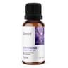 OstroVit - Lavender Essential Oil - 10ml