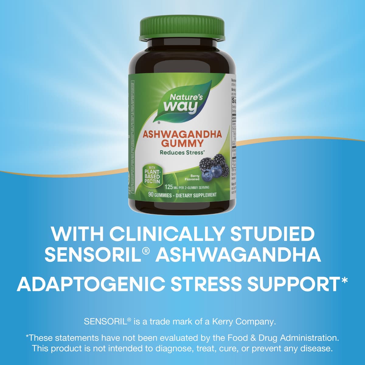 Nature'S Way - Ashwagandha Gummies - 90 Gummies