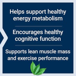 Life Extension - Creatine & Acetyl-L-Carnitine Energy Plus - 233g