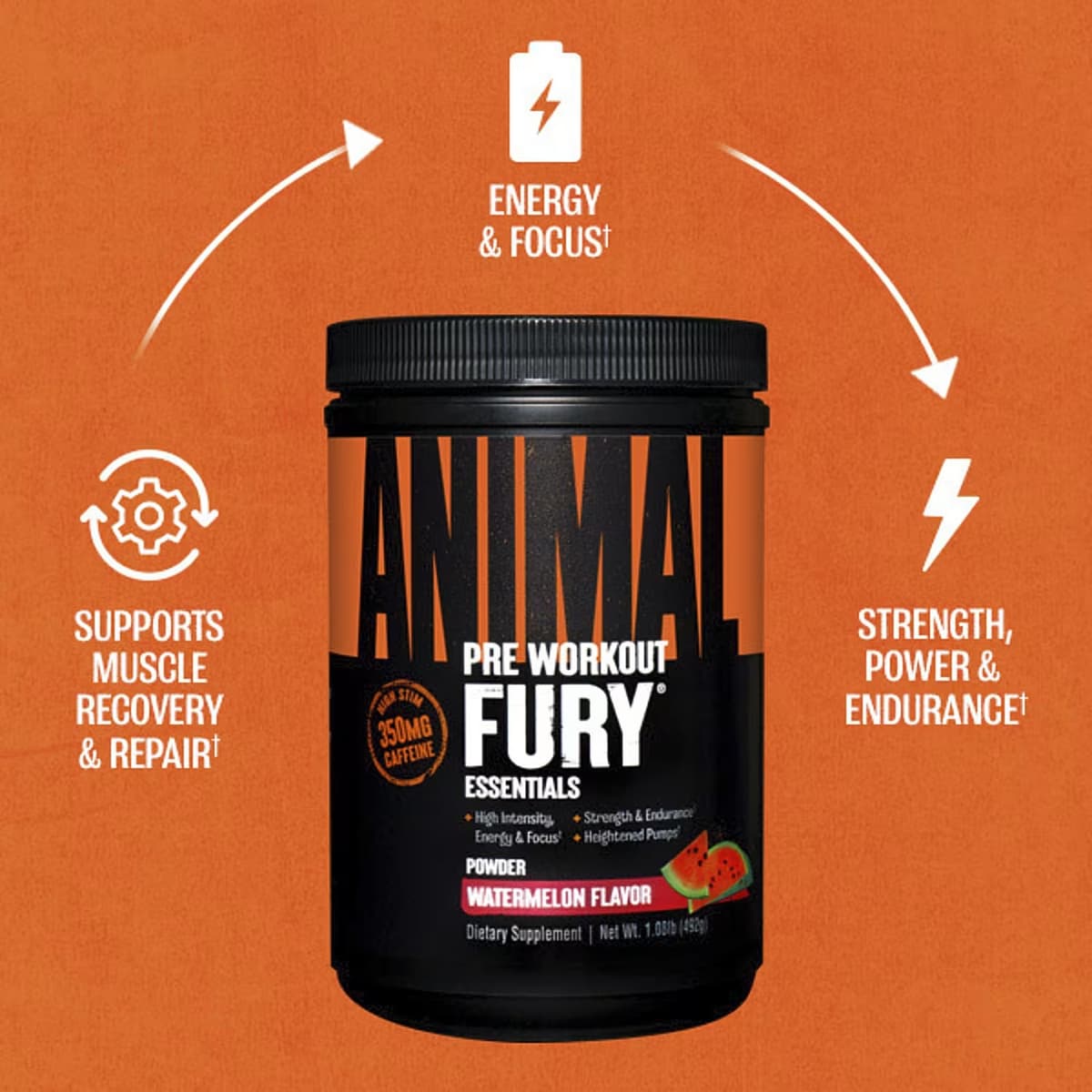 Universal Nutrition - Fury - 1.08lb